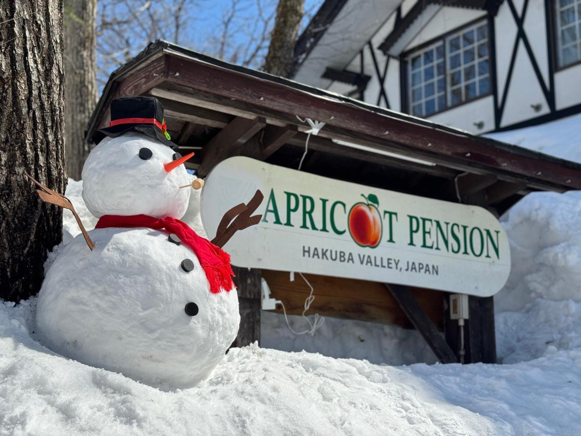 Apricot Pension Hakuba Extérieur photo