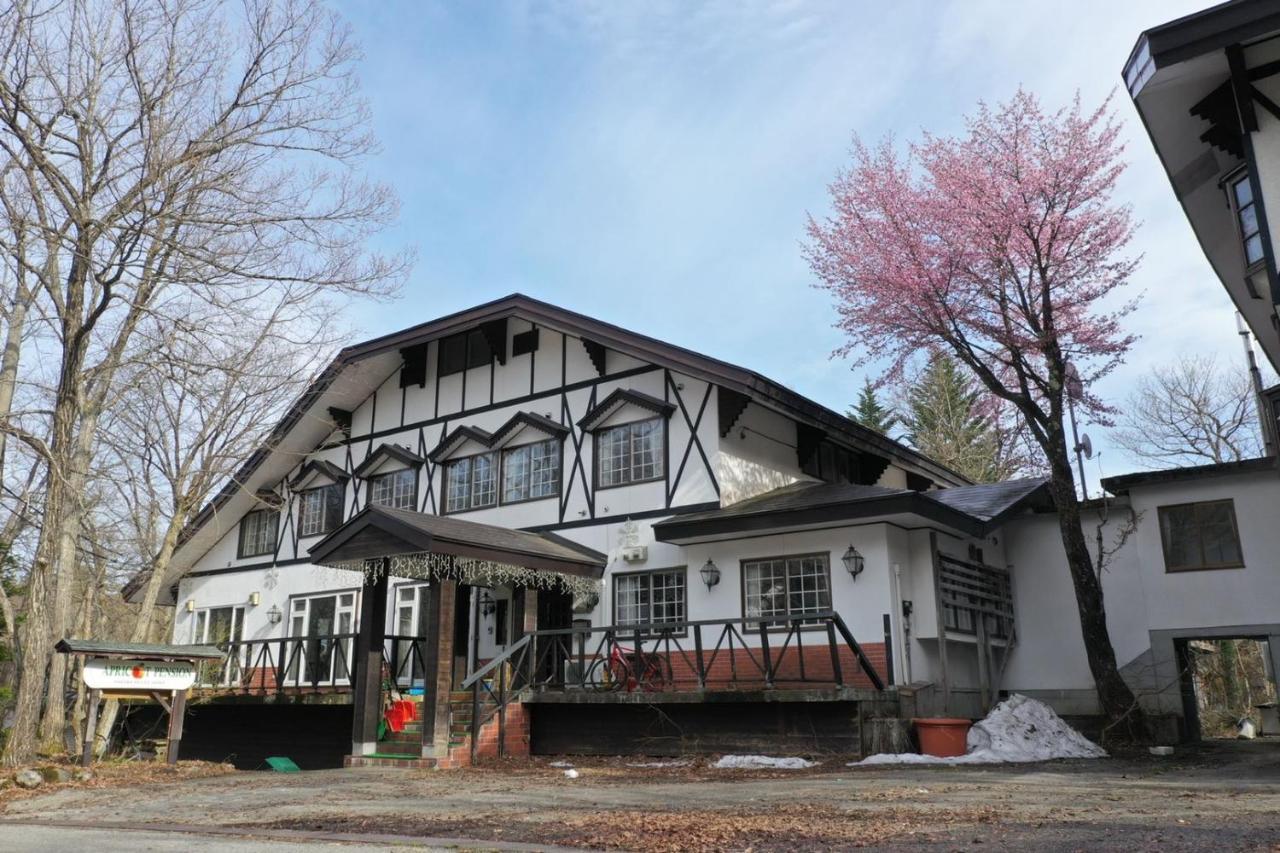 Apricot Pension Hakuba Extérieur photo
