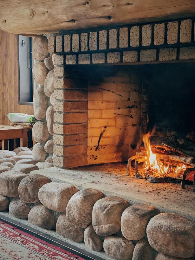 Apricot Pension Hakuba Extérieur photo