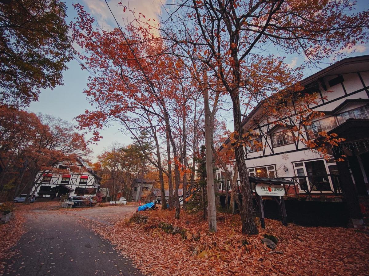 Apricot Pension Hakuba Extérieur photo