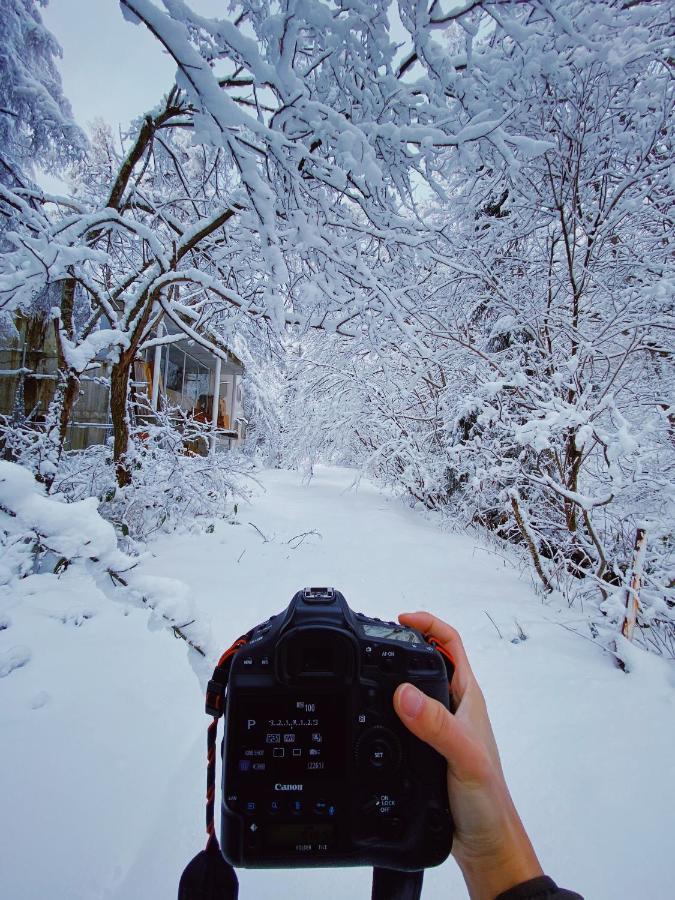 Apricot Pension Hakuba Extérieur photo